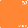 E13864