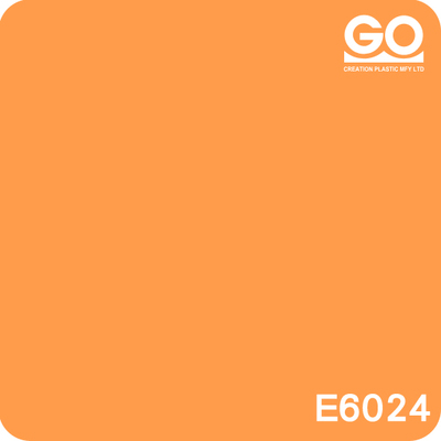 E6024