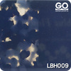 LBH009