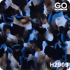 H2909