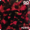 H2900