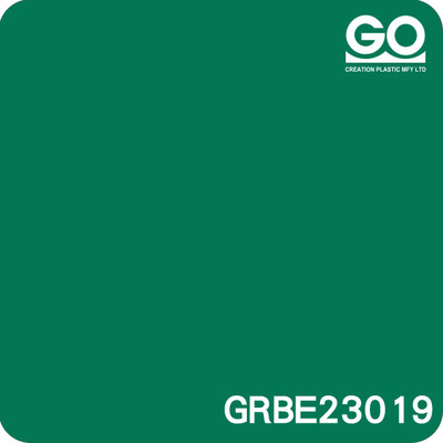 GRBE23019