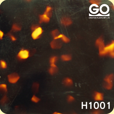 H1001
