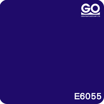 E6055