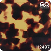 H2497